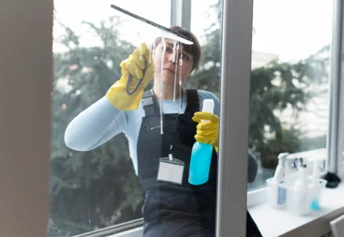 Nettoyage de vitres intérieures et extérieures à Anost